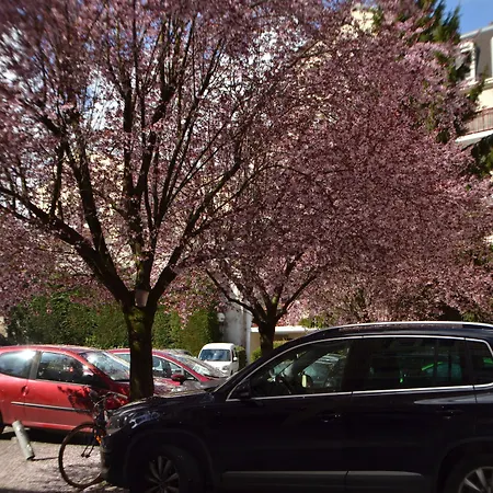 旅程之约酒店 住宿加早餐酒店